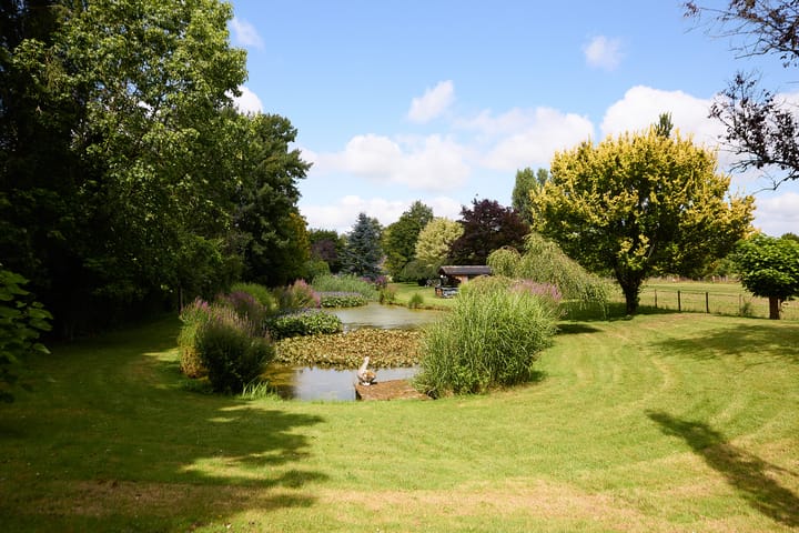 Foto 78 van Zuiderweg 79