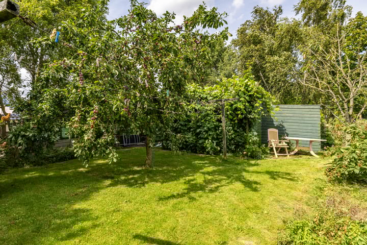 Foto 57 van Borgsweer 11