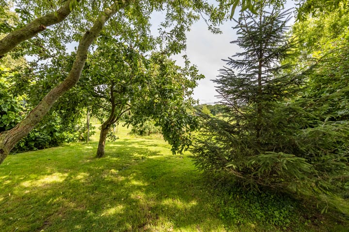 Foto 58 van Borgsweer 11