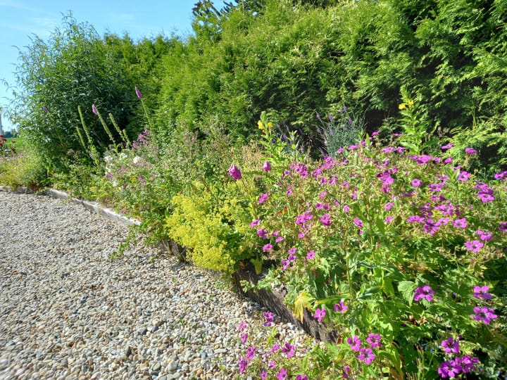 Foto 62 van Borgsweer 11