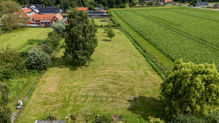 Foto 65 van Borgsweer 11