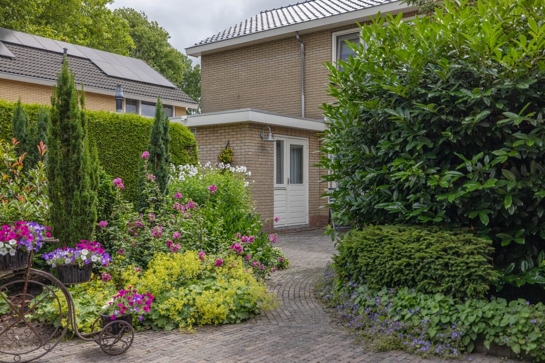 Foto 38 van Nijebuorren 41