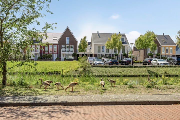 Foto 36 van Atlantastraat 70