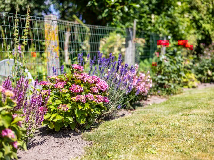 Foto 28 van de Plak 60-A