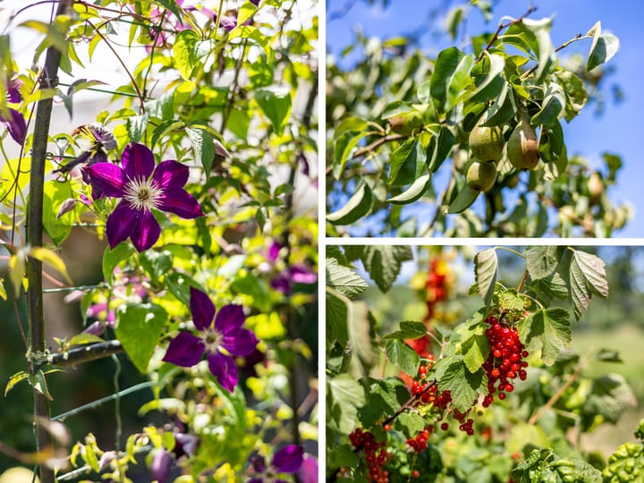 Foto 32 van de Plak 60-A