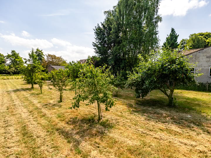 Foto 33 van de Plak 60-A