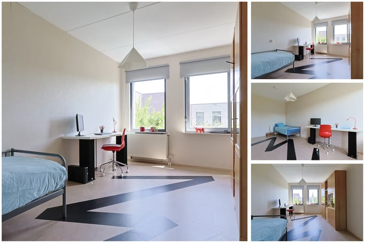 Photo 24 of Amerikalaan 95