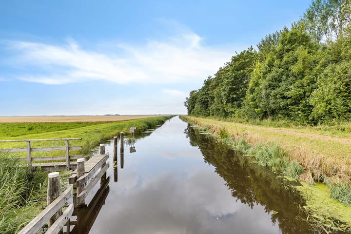 Photo 15 of De Streep 14