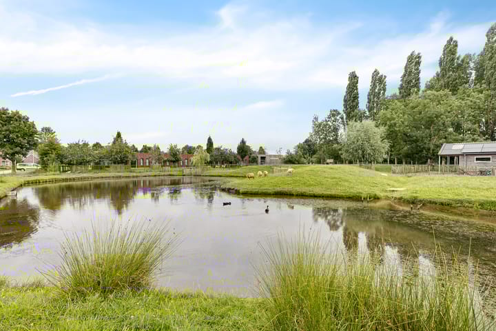 Photo 16 of De Streep 14