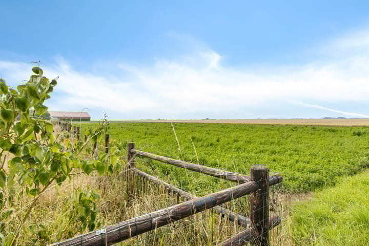 Photo 17 of De Streep 14