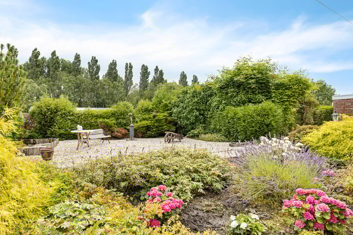 Photo 26 of De Streep 14