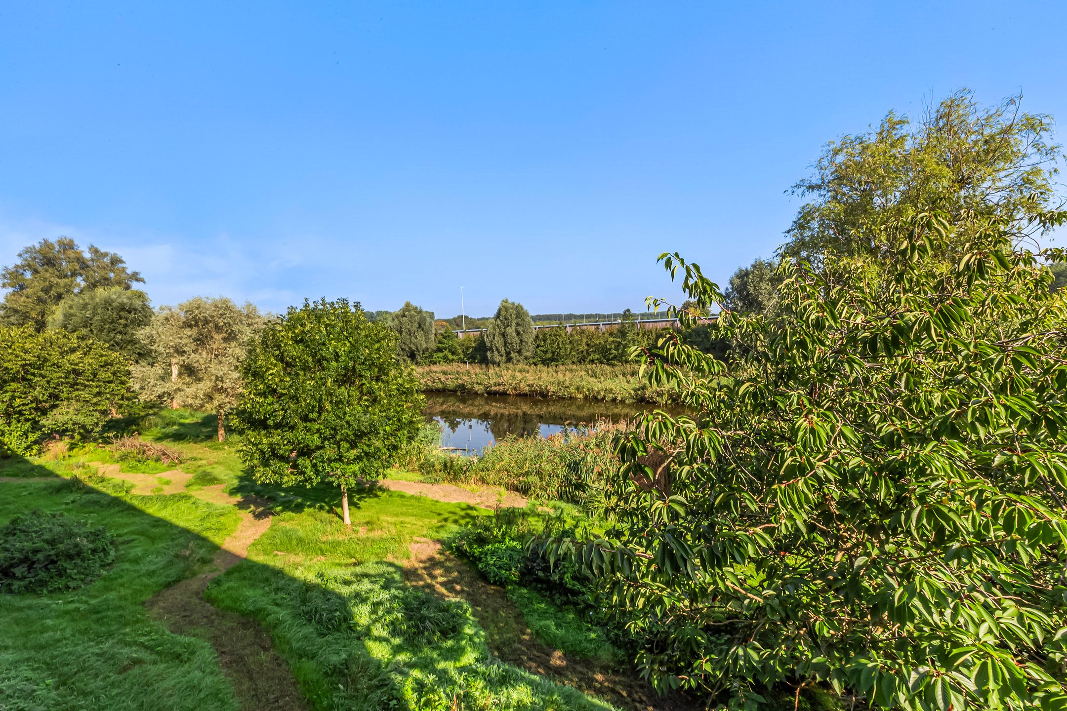 Foto 3 van Einthovenstraat 32