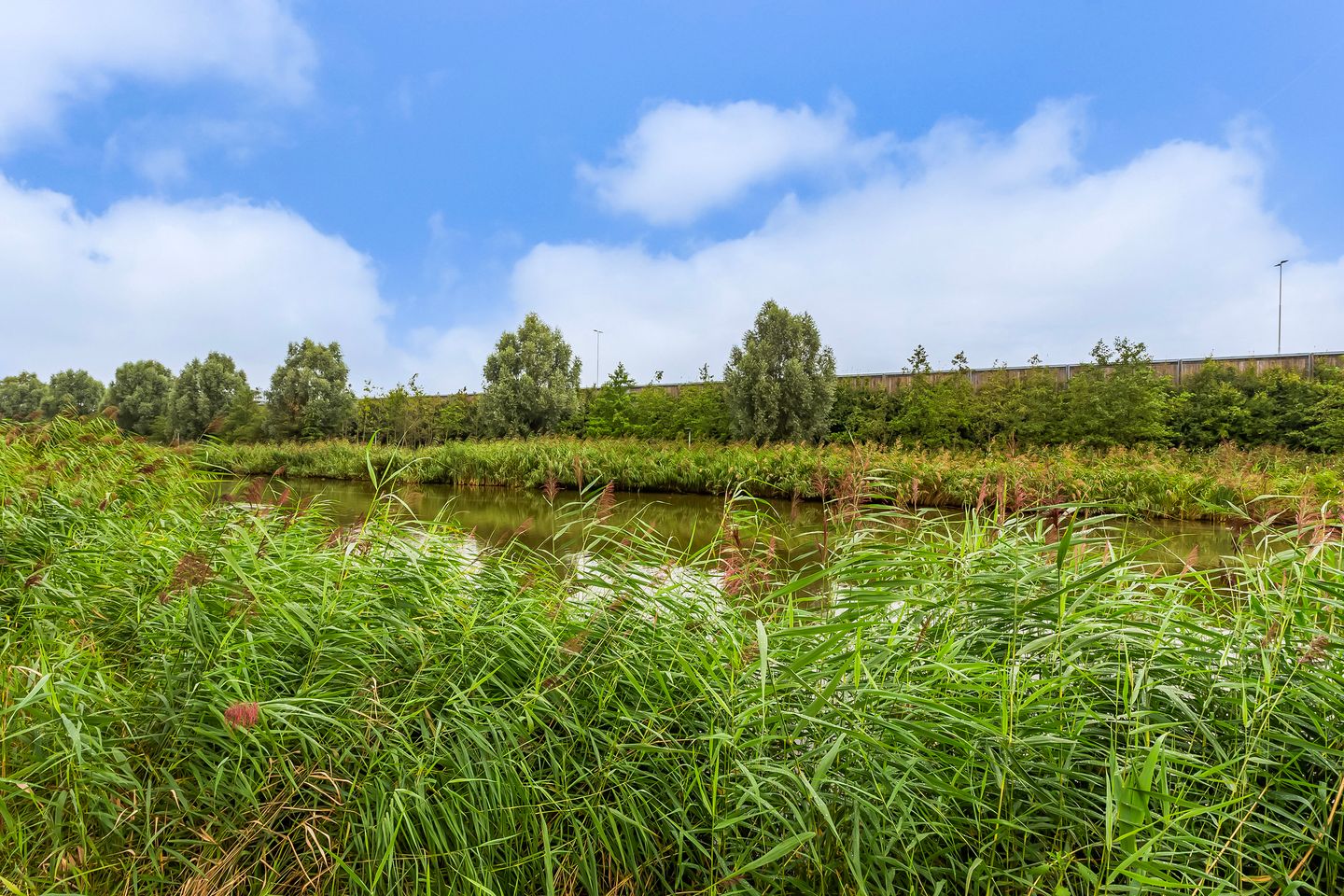 Foto 29 van Einthovenstraat 32