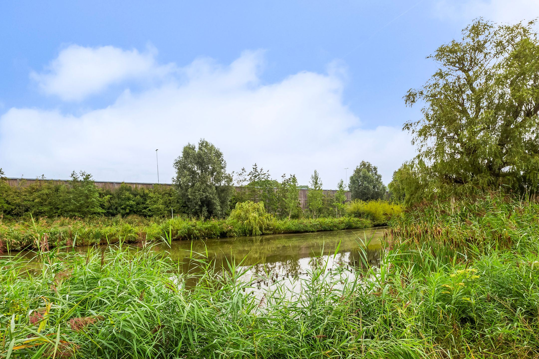 Foto 30 van Einthovenstraat 32