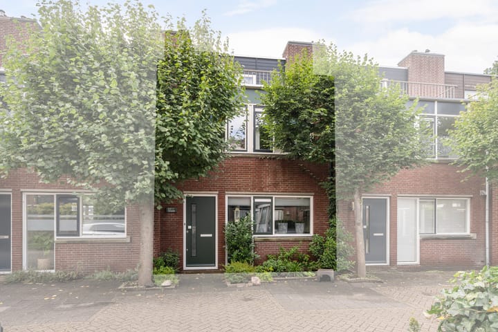 Foto 5 van Botter 25