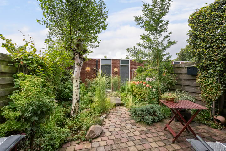 Photo 16 of Botter 25