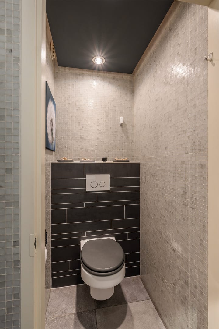 Photo 20 of Botter 25