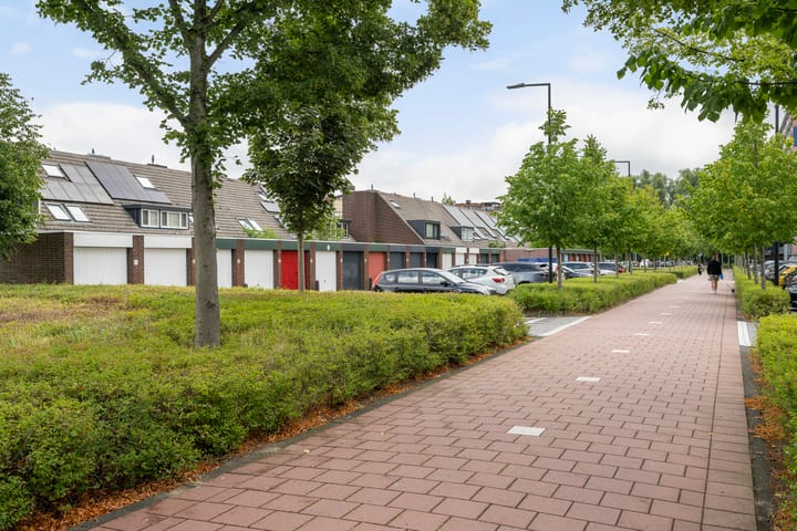 Photo 42 of Botter 25