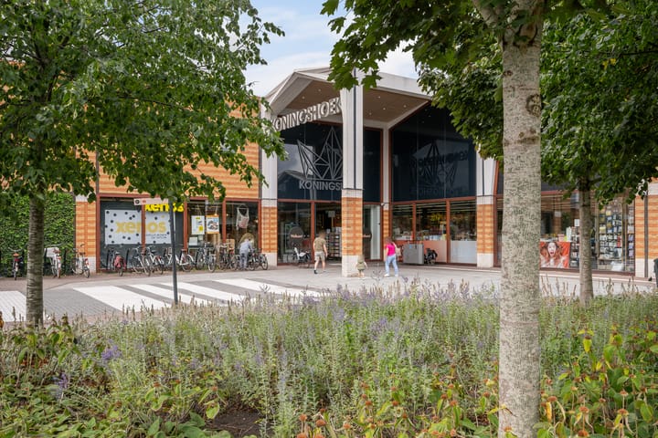 Photo 43 of Botter 25