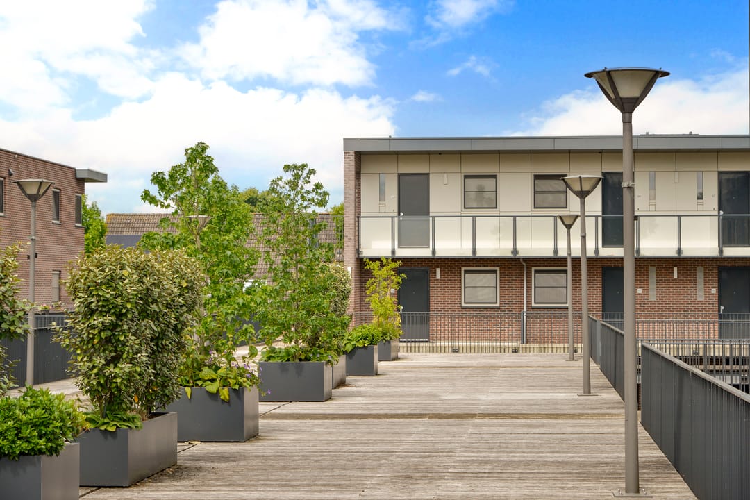 Foto 1 van Zwaluw 119