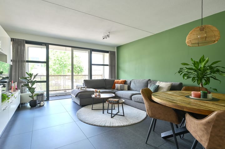 Photo 3 of Zwaluw 119