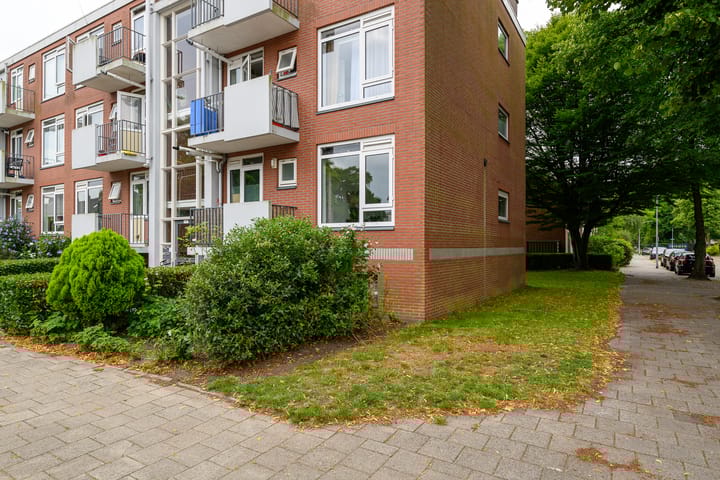 Foto 1 van Peter van Anrooystraat 25