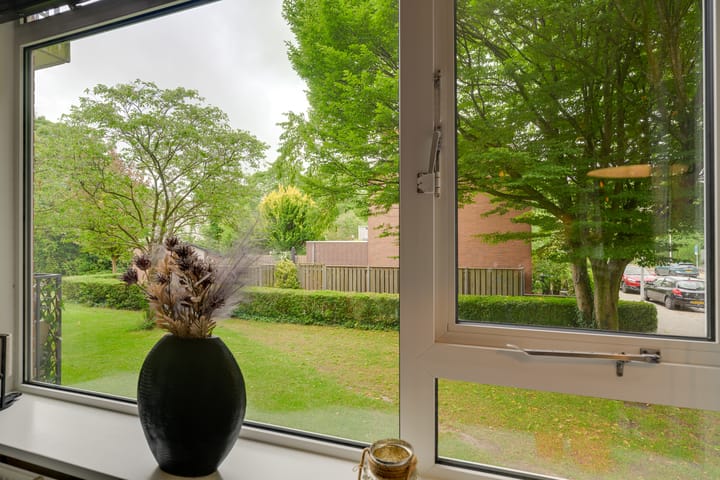 Foto 13 van Peter van Anrooystraat 25