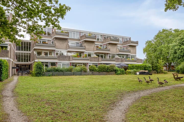 Foto 1 van Bosplaat 96