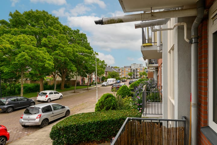 Foto 23 van Peter van Anrooystraat 25