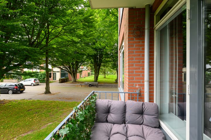 Foto 29 van Peter van Anrooystraat 25