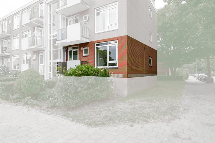 Foto 38 van Peter van Anrooystraat 25