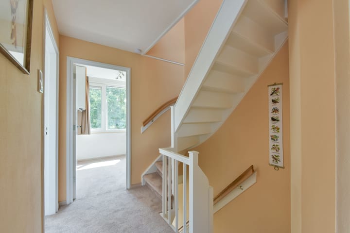 Foto 18 van Valeriuslaan 19