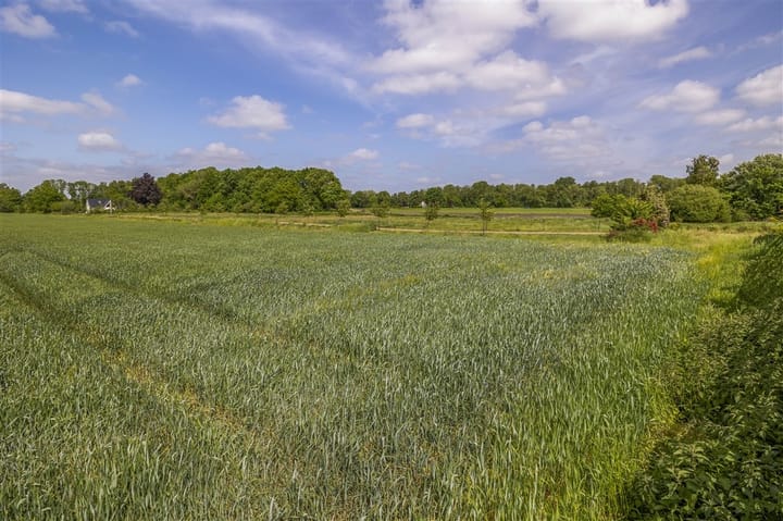 Foto 43 van Boven Veensloot 23
