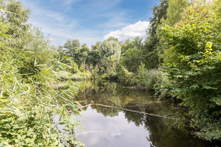 Foto 47 van Prattenburg 24