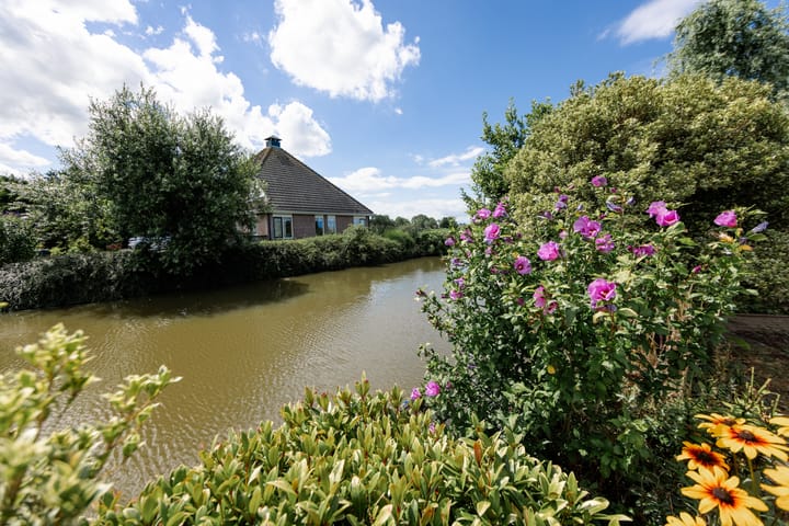 Foto 3 van It Mêd 17