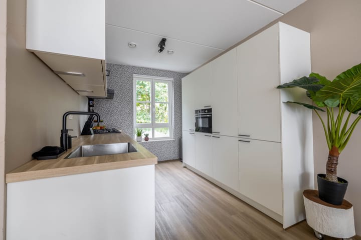 Photo 10 of Dotterbloempad 6