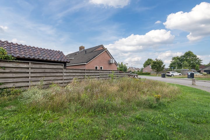 Foto 3 van Kamperfoelie 4