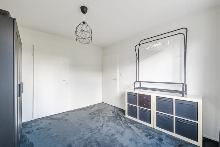 Foto 17 van Kamperfoelie 4