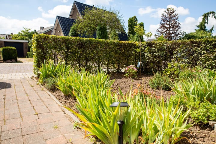 Foto 43 van Kerkstraat 18