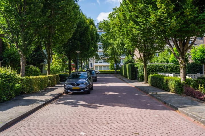 Foto 30 van Johan van Hornestraat 8