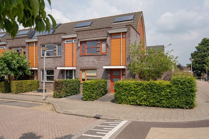 Foto 5 van Kamperfoelie 24