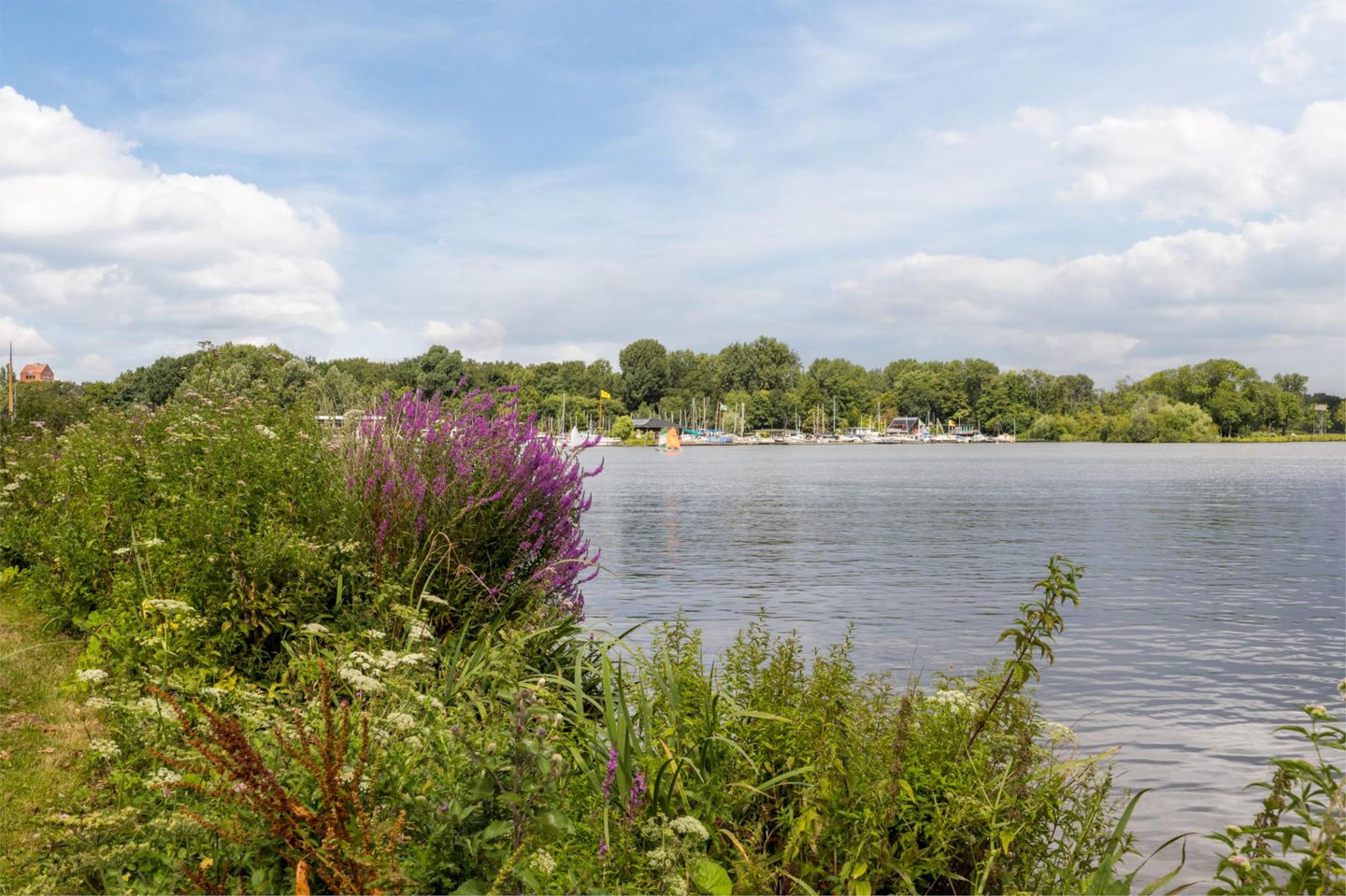 Foto 40 van Hermonlaan 30