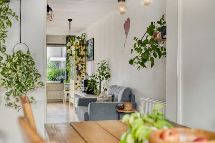 Foto 2 van Waterbies 5