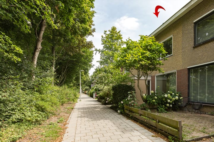 Foto 4 van Rozenpad 42