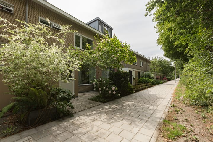 Foto 5 van Rozenpad 42