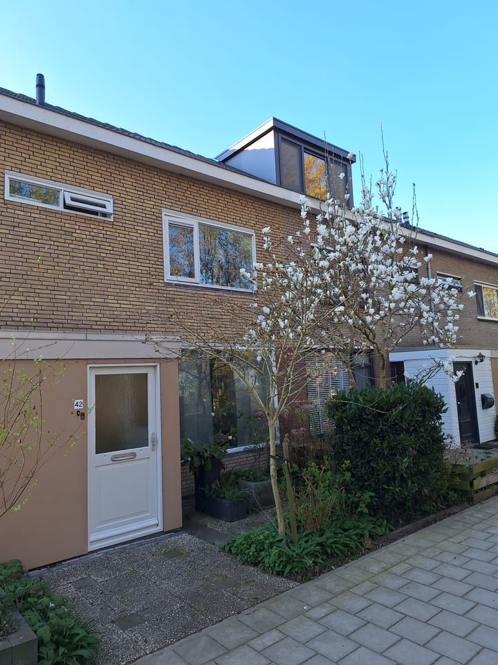 Foto 38 van Rozenpad 42