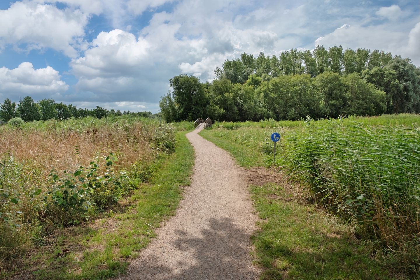 Foto 35 van Arendlaan 42