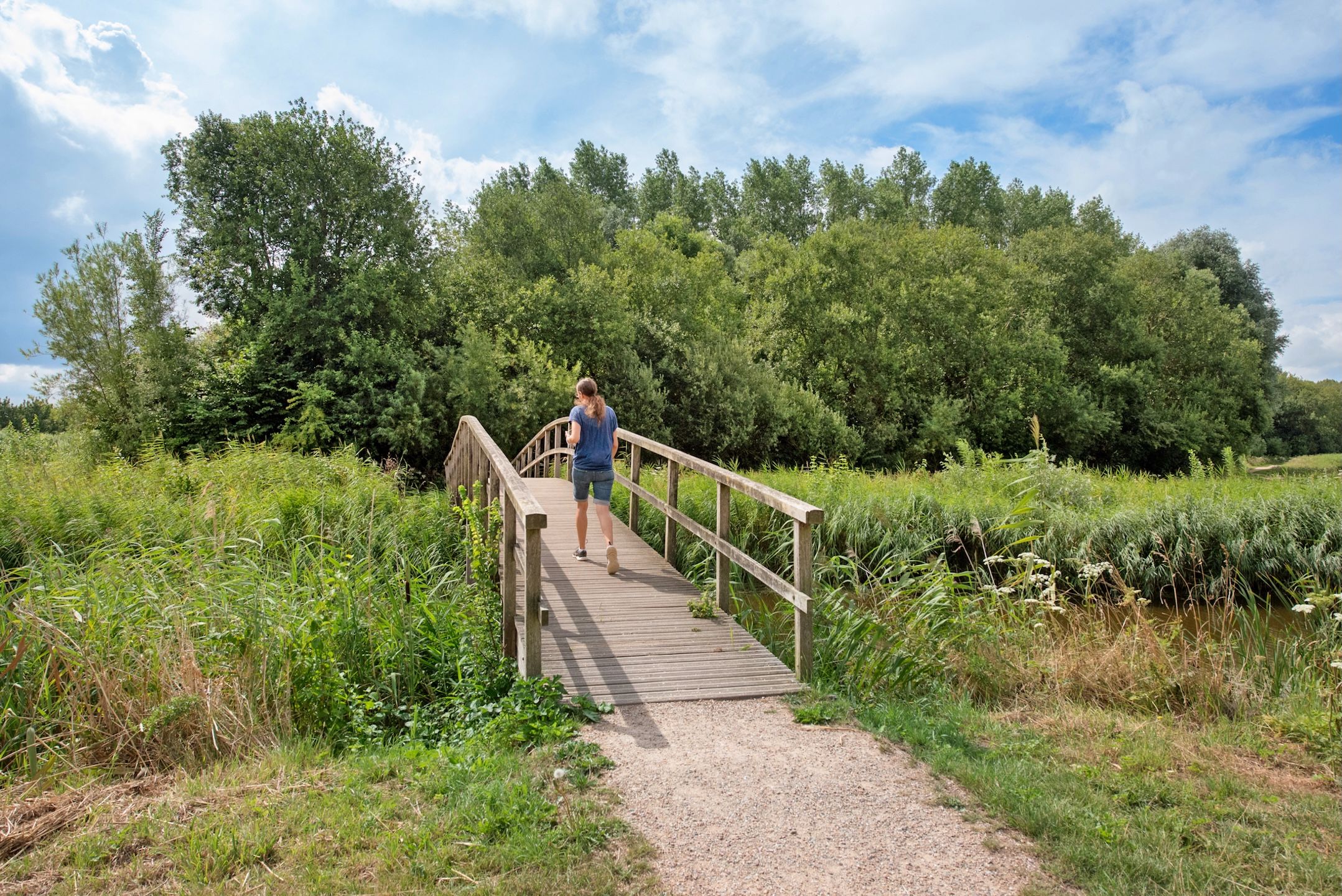 Foto 36 van Arendlaan 42