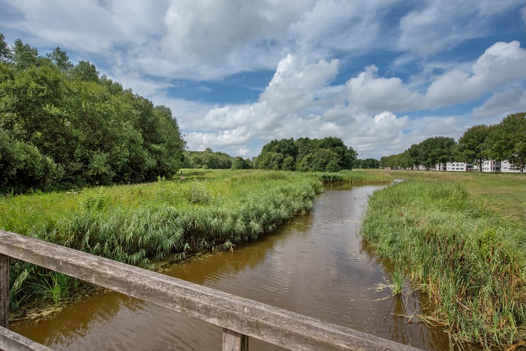 Foto 38 van Arendlaan 42