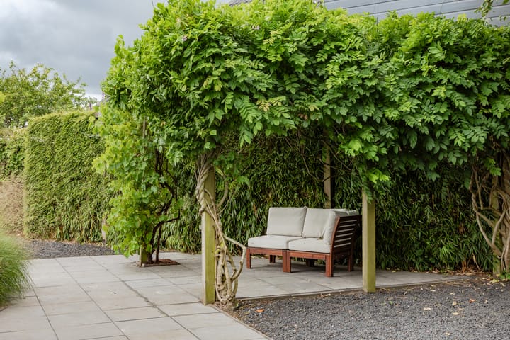 Foto 22 van Jippesstraat 46